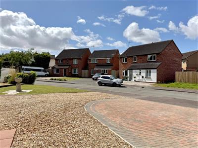 Picture 20